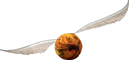Snitch